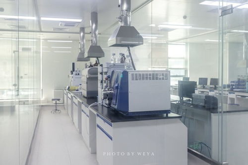 面面旅拍 探索奇妙科技工廠,坐擁海洋度假天堂,珠海盡情玩樂放縱一夏