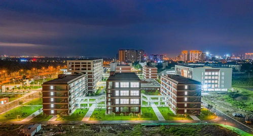 電子科技大學(xué)成都學(xué)院什邡校區(qū)驚艷亮相，金秋九月將迎來(lái)首批師生